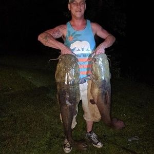 Meet your Posher, Phillip